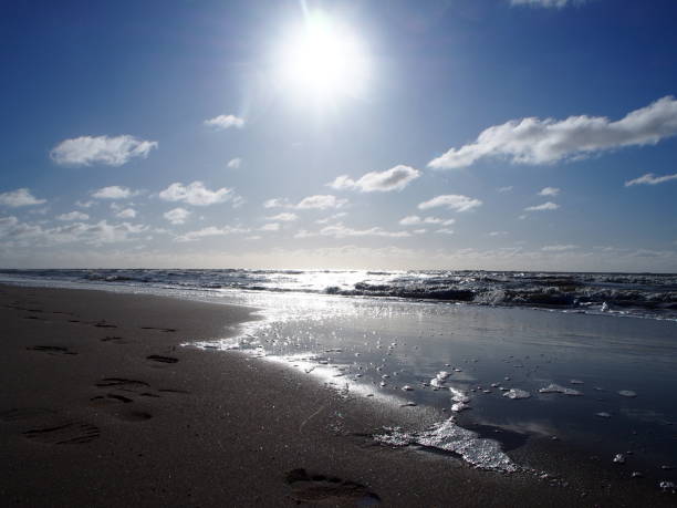View of the sand beach with the tire marks and footprints on the Baltic Sea coast on the Vistula Spit at the winter time.