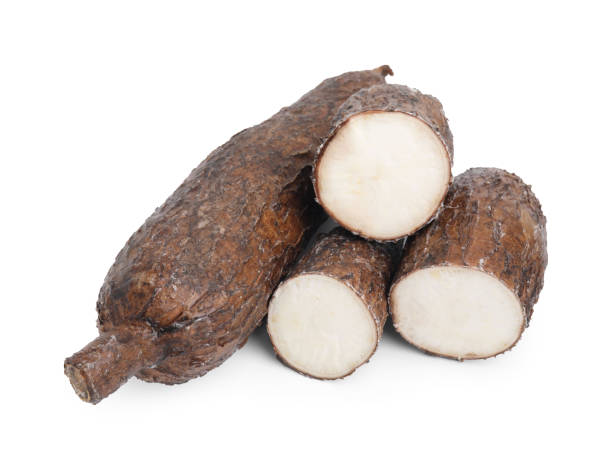 istock Whole and cut cassava roots isolated on white 2188287560