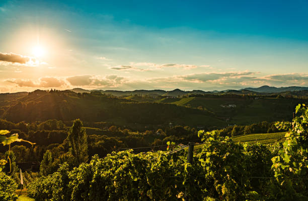 istock Vineyards panorama along Styrian wine road, Austria Europe 2188292520