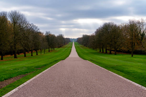 istock The Long Walk in Windsor Great Park, Berkshire, UK 2188293111