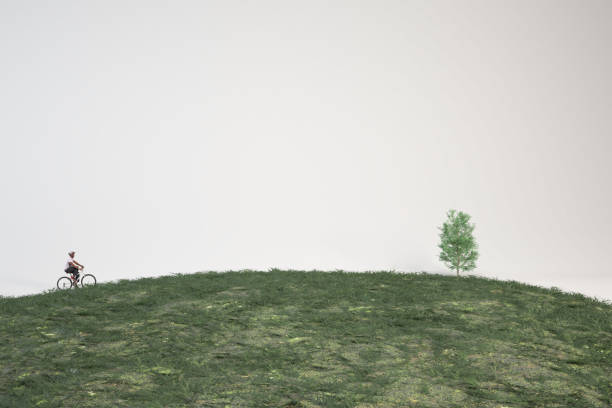 A cyclist rides a bicycle on a grassy hill near a lone tree.