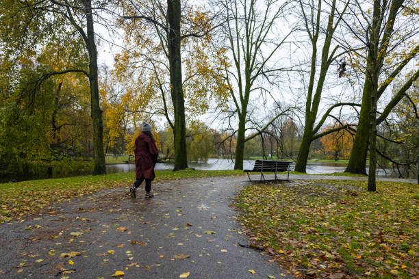 A woman walking alone in the forest