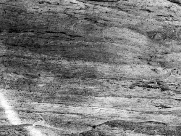 Background texture of a weathered old wood surface in close up, wood pattern texture in black and white