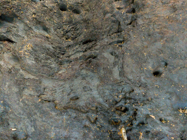 istock Texture of a wood surface in close up 2188300652
