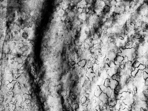 istock A close-up of an old, weathered fabric 2188300953
