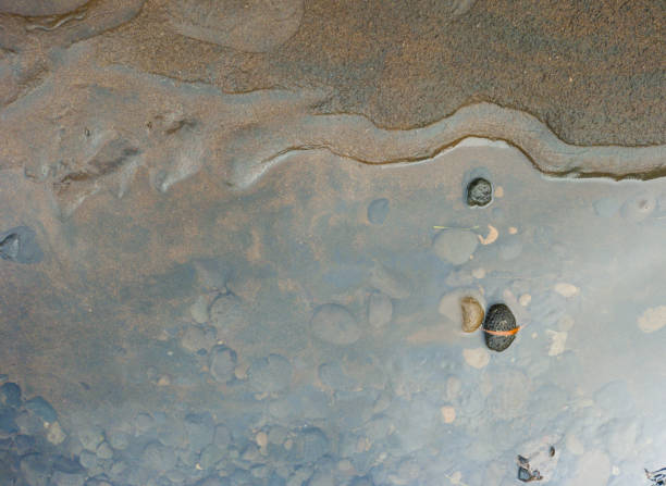 A serene close-up of water rippling over a sandy surface, capturing the intricate patterns formed by light reflections and gentle waves. Subtle earthy tones enhance the tranquil ambiance.