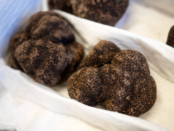 istock Black truffles on display at the market 2188303220