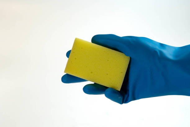 A hand in a durable blue rubber glove holding a yellow sponge against a white background, ready for cleaning tasks.