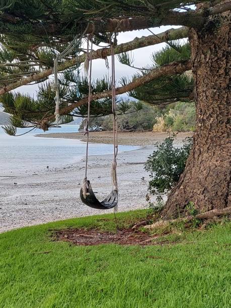 istock Quintessential New Zealand 2188307916