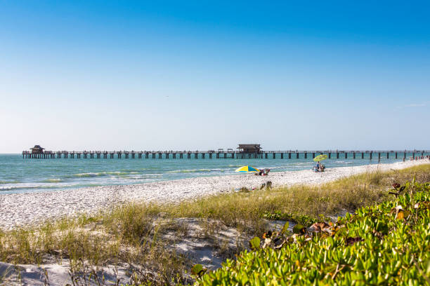 istock Wooden Pier in Naples, Florida 2188308696