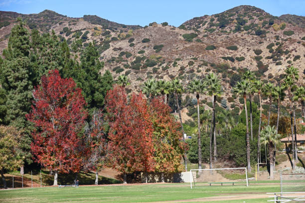 istock George Manooshian Park 2 2188312684