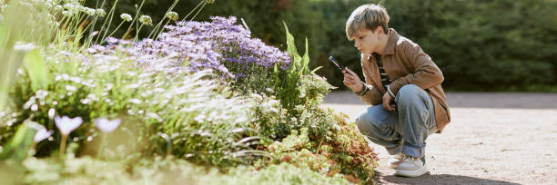 istock Teen Boy Using Magnifying Glass While Studying Plants In Park 2188313459