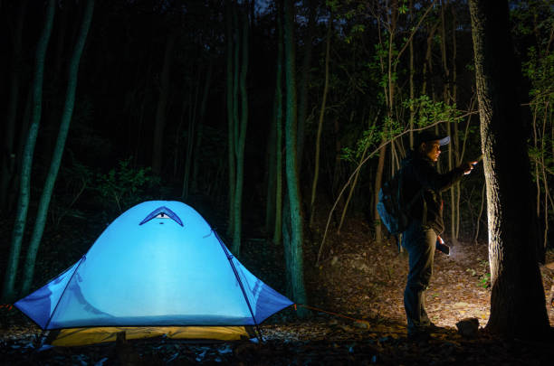 Camping and adventuring alone in the primeval forest