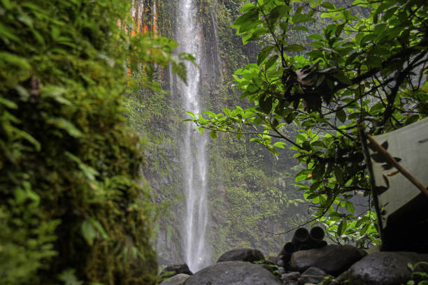 istock Waterfall flowing from a rock cliff in the middle of a green forest 2188316328