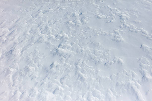 The snow is a bright white color and it covers the ground in a thick layer. The snow is so deep that it almost reaches the ground, creating a beautiful and serene winter landscape