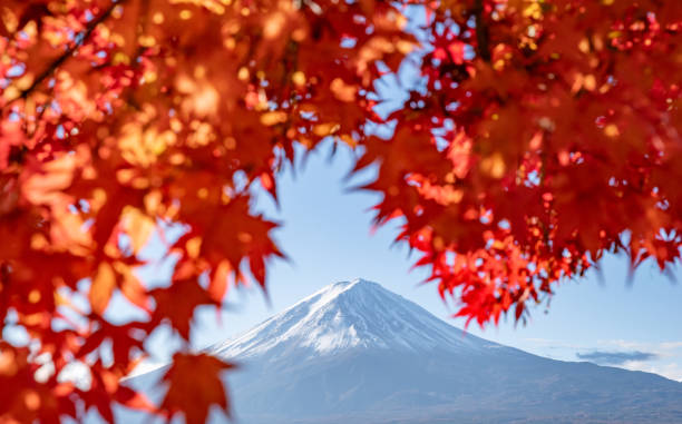 istock Red maple leaves and Mount Fuji 2188321457