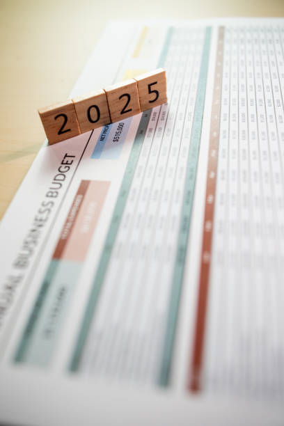 istock 2025 business budget planning strategic financial document for office environment 2188326698