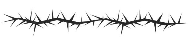 Thorn stem vine plant with spikes simple border y2k creepy branch. Barbed wire tattoo. Boundary frame. . Vector illustration Thorn stem vine plant with spikes simple border y2k creepy branch. Barbed wire tattoo. Boundary frame. . Vector illustration thorn wreath stock illustrations