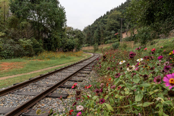 istock Old style train tracks in remote rural area 2188326943