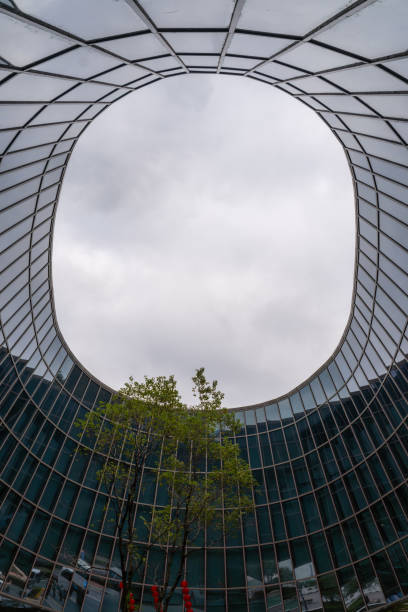 istock A tree grows on an open space in a glass building with a circular hole in the middle 2188327153