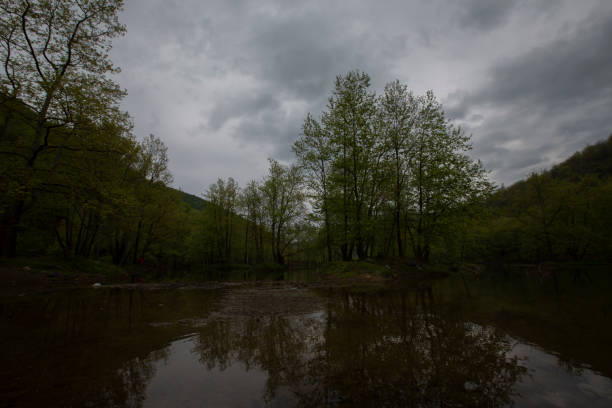 Yalova forest and bottomless lake