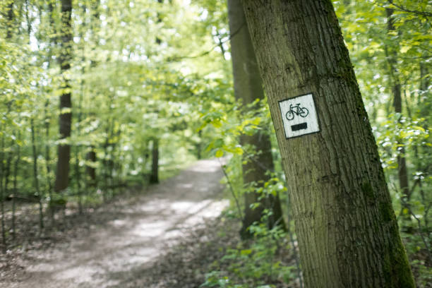 istock Cycling tourism, cycling in the forest, bicycle path. 2188330331
