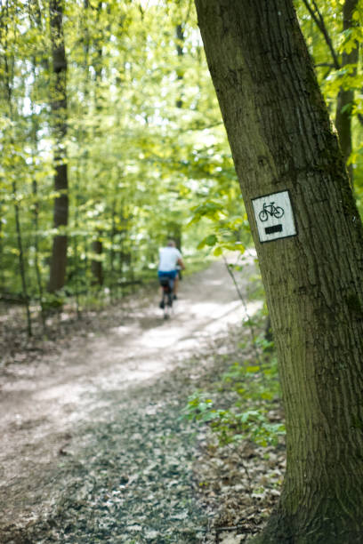 istock Cycling tourism, cycling in the forest, bicycle path. 2188330339