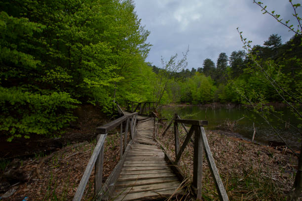 Yalova forest and bottomless lake