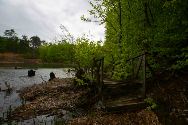 Yalova forest and bottomless lake