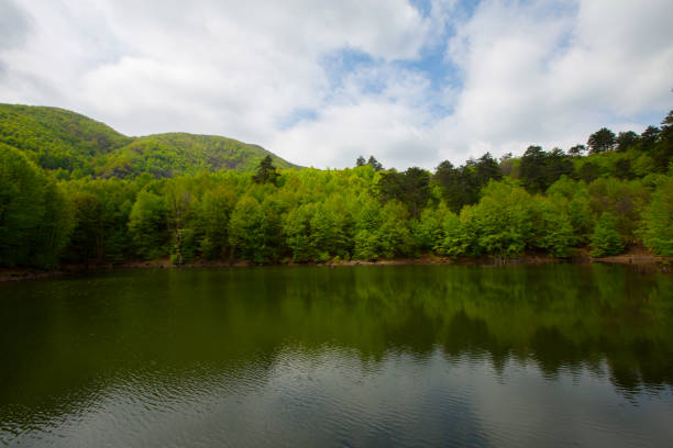 Yalova forest and bottomless lake
