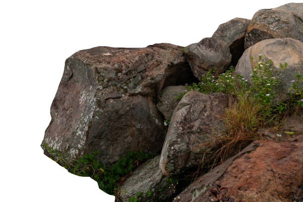 istock The trees.Rocks and Stone on the Mountain .Isolated on White background with clipping path 2188332370