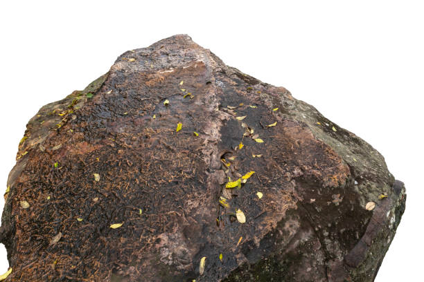 istock The trees.Rocks and Stone on the Mountain .Isolated on White background with clipping path 2188332782
