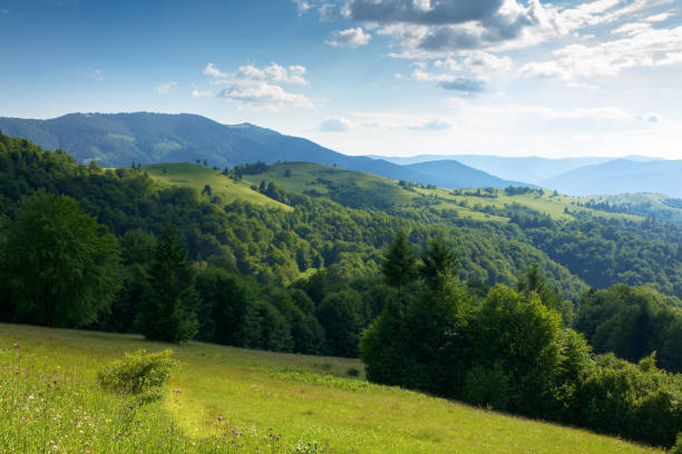 istock mountain landscape in summer 2188335615
