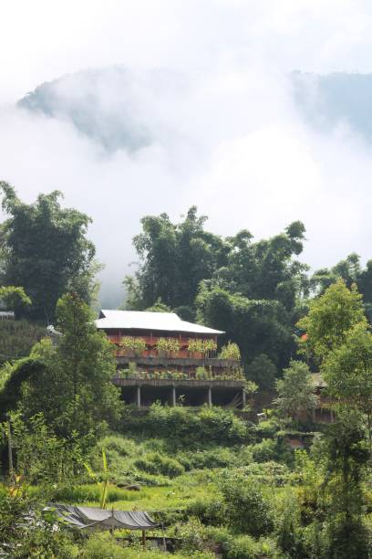 istock House in the jungle 2188344163