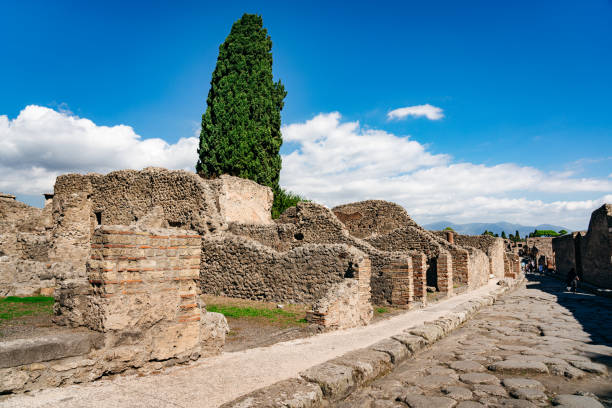 A vibrant image of Pompeii ruins with cobblestone streets, ancient stone structures, and a tall cypress tree under a clear, blue sky. An iconic piece of Roman history in Naples, Italy.