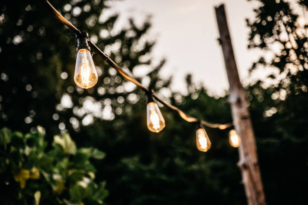istock Illuminated Edison Bulb String Lights in Garden at Dusk 2188347427