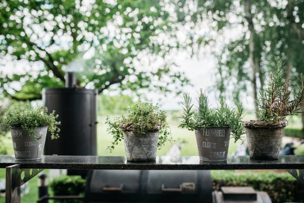 A serene outdoor scene featuring potted herbs arranged on a dark surface with a professional BBQ smoker in the background. Four rustic pots containing various herbs like thyme, rosemary, and other aromatic plants are displayed in the foreground. The black smoker creates an interesting contrast against the blurred green foliage backdrop, suggesting a well-equipped outdoor cooking and entertainment area. The bokeh effect of the trees adds a dreamy quality to this garden-meets-culinary setup.