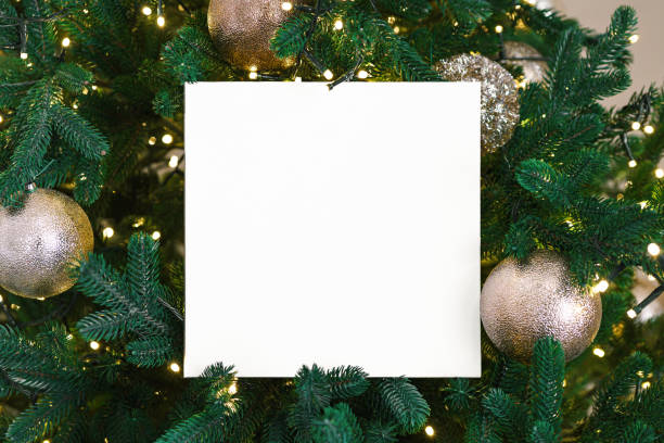 istock White blank circle paper on green Christmas tree branch background. Mockup, template copy space 2188349652