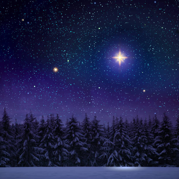 Merry Christmas and happy New Year background with winter forest on snow.