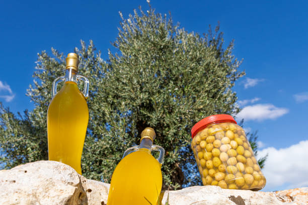 centuries-old olive trees in the background, fresh bottled olive oils, fresh healthy olive oils in glass bottles in a natural environment from daylight