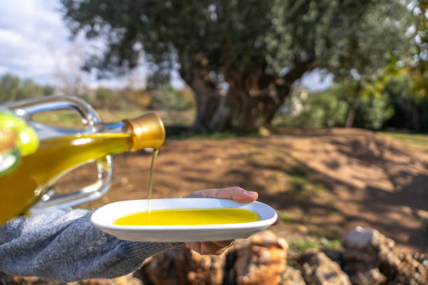 centuries-old olive trees in the background, fresh bottled olive oils, fresh healthy olive oils in glass bottles in a natural environment from daylight