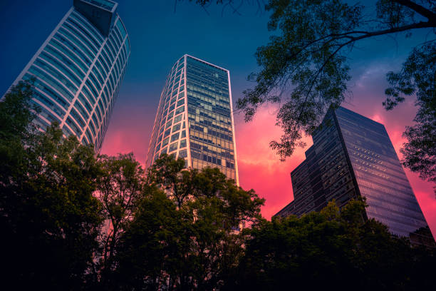 Mexico City Downtown Skyline and Buildings at Sunset