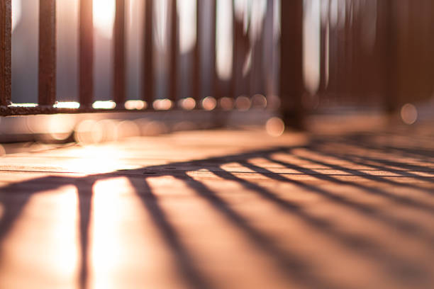 This photo captures an abstract outdoor scene where sunlight casts a grid pattern of shadows on a wooden deck. The natural wood grain and warm tones contrast with the sharp shadow lines, creating a visually striking texture. Ideal for use as a background, design element, or for themes related to architecture, nature, and outdoor spaces.