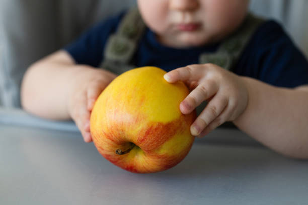 istock Big ripe apple in kids hands. Closeup, selective focus. 2188359522