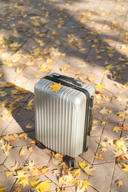istock Travel suitcase on a pavement full with autumn leaves with copy space 2188363761