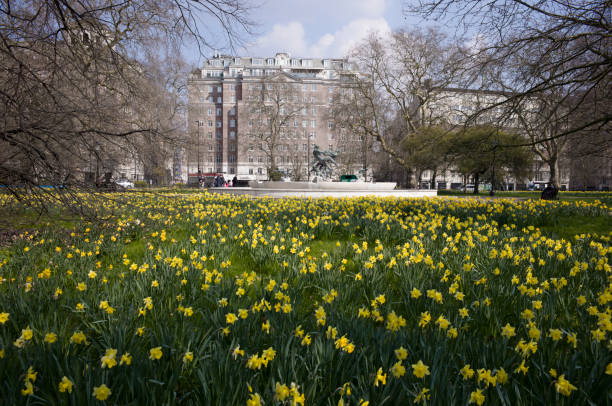 Parks, and streets in London