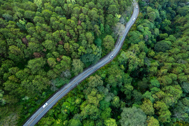 istock High angle view of road and green trees 2188366475