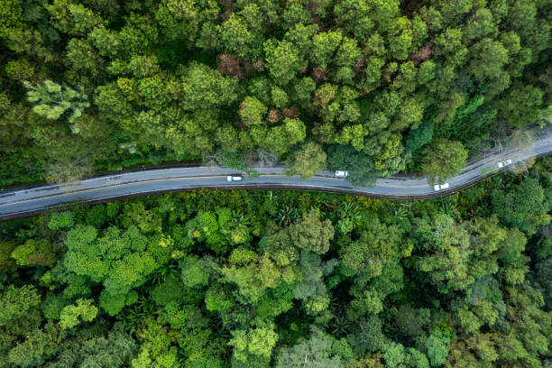 istock High angle view of road and green trees 2188366486