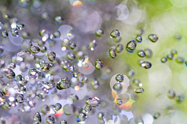Water drops