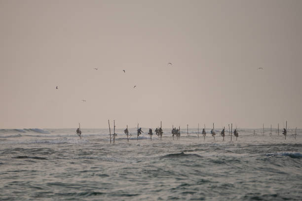 Fishermen in the Indian Ocean in Sri Lanka